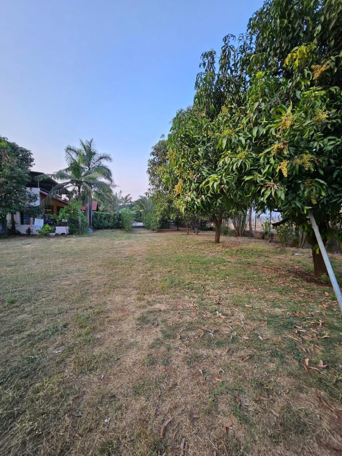 Patil'S Greenwoods Farmhouse Navi Mumbai Zewnętrze zdjęcie